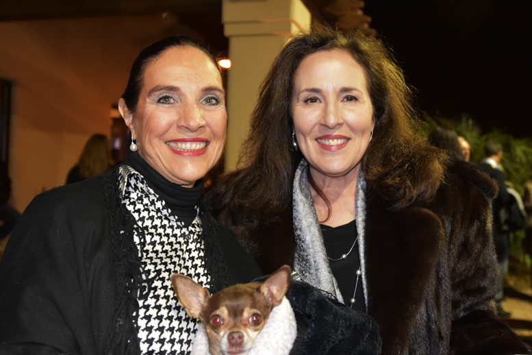 2017 Arabhorse Farm Tour Photos