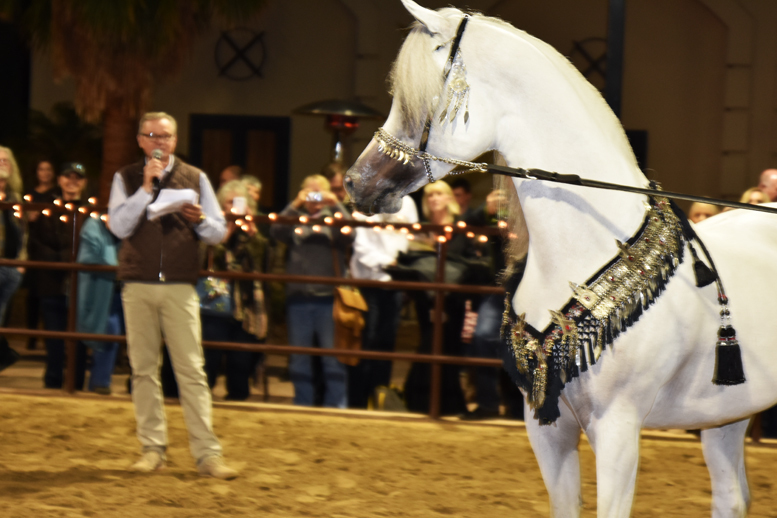 2017 Arabhorse Farm Tour Photos