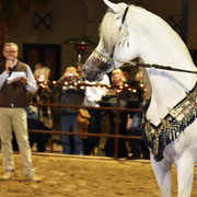 2017 Arabhorse Farm Tour Photos