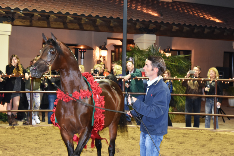 2017 Arabhorse Farm Tour Photos