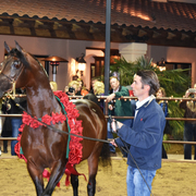 2017 Arabhorse Farm Tour Photos