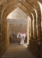 A Pearl for the Ages - FILM PREMIERE 