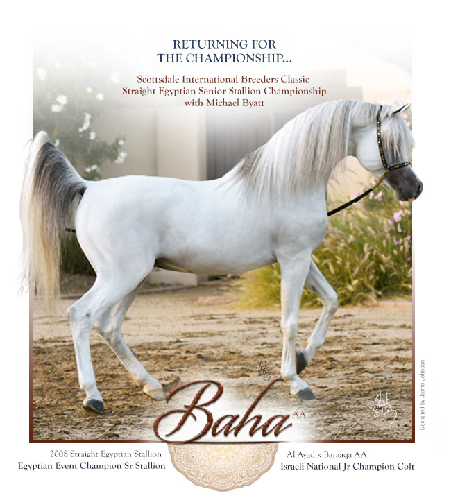 2017 Scottsdale Photos by Kelly Campbell 