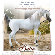 2017 Scottsdale Photos by Kelly Campbell 