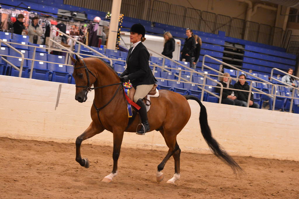 Volney Creek Arabians