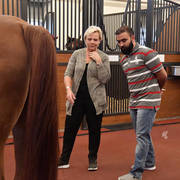 Lisa Abraham: Arabian Horse National Judge Course sponsored by Al Shaqab Stud (QAT)