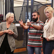 Lisa Abraham: Arabian Horse National Judge Course sponsored by Al Shaqab Stud (QAT)