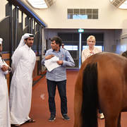 Lisa Abraham: Arabian Horse National Judge Course sponsored by Al Shaqab Stud (QAT)