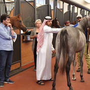 Lisa Abraham: Arabian Horse National Judge Course sponsored by Al Shaqab Stud (QAT)