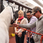 Lisa Abraham: Arabian Horse National Judge Course sponsored by Al Shaqab Stud (QAT)