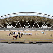 Lisa Abraham: Arabian Horse National Judge Course sponsored by Al Shaqab Stud (QAT)