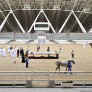 Lisa Abraham: Arabian Horse National Judge Course sponsored by Al Shaqab Stud (QAT)