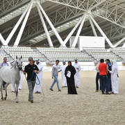 Lisa Abraham: Arabian Horse National Judge Course sponsored by Al Shaqab Stud (QAT)