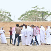 Lisa Abraham: Arabian Horse National Judge Course sponsored by Al Shaqab Stud (QAT)