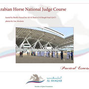 Lisa Abraham: Arabian Horse National Judge Course sponsored by Al Shaqab Stud (QAT)