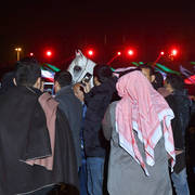 Senior Stallion Gold Champion: Adham Saqr (Imperial Madori X Ameera Saqr) 