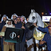 Senior Stallion Gold Champion: Adham Saqr (Imperial Madori X Ameera Saqr) 