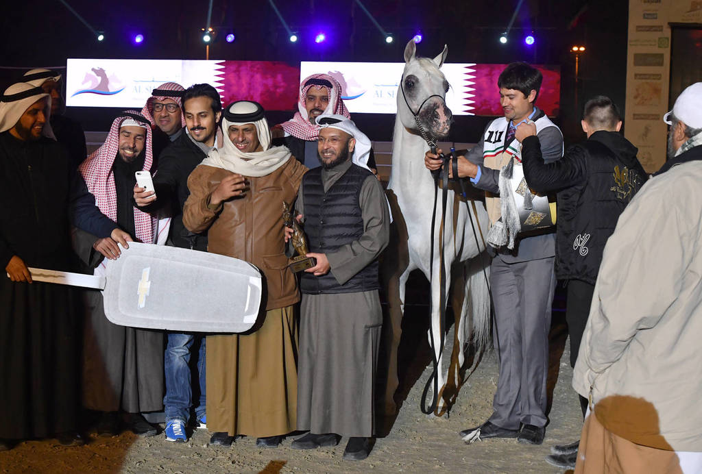 Senior Stallion Silver Champion: Haizoom Al Asil (Kamal Ibn Adeed X Ansata Omniya)  
