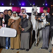 Senior Stallion Silver Champion: Haizoom Al Asil (Kamal Ibn Adeed X Ansata Omniya)  
