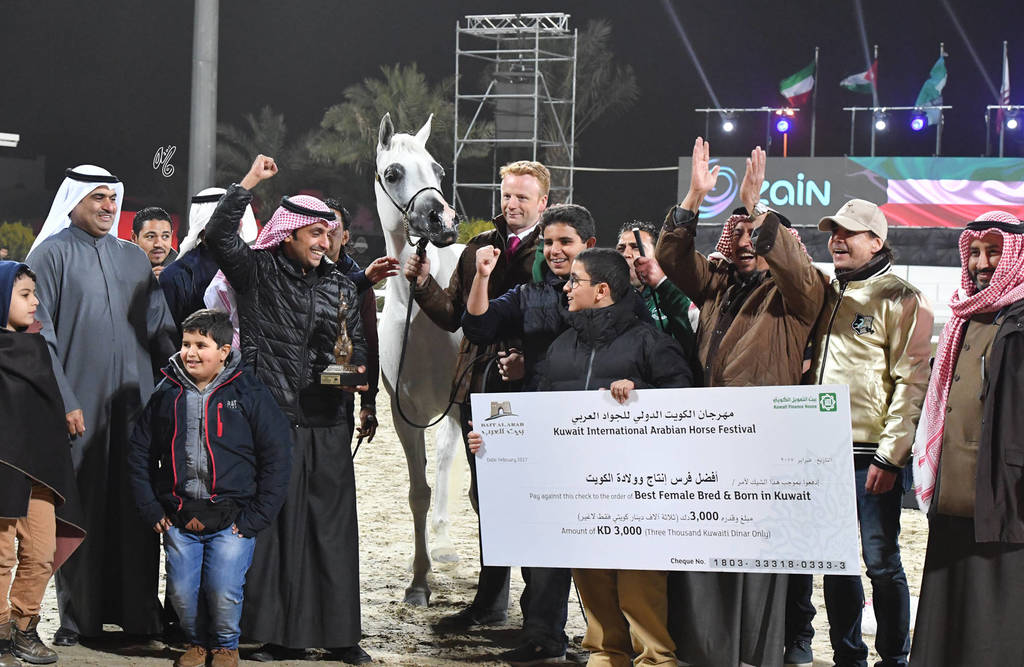 Best SE Arabian Female bred and born in Kuwait: Shalwa (Sinan Al Rayyan X Al Galyla), who was bred by Essam Al Roumi and is owned by Aldanat Stud