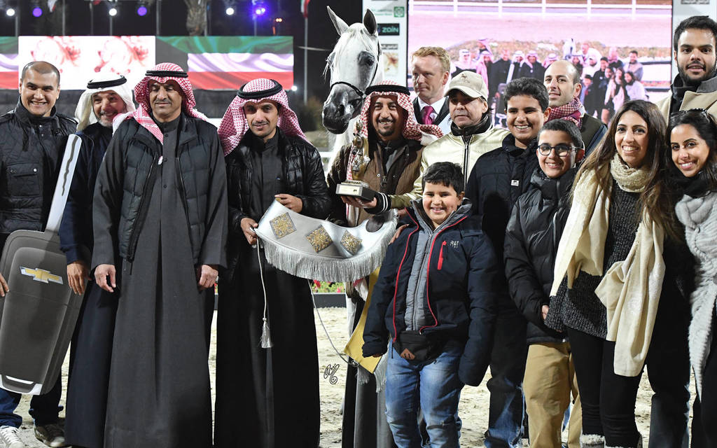 Senior Mare Silver Champion: Maysuna Guasimo (Al Adeed Al Shaqab X Najib Guasimo)  