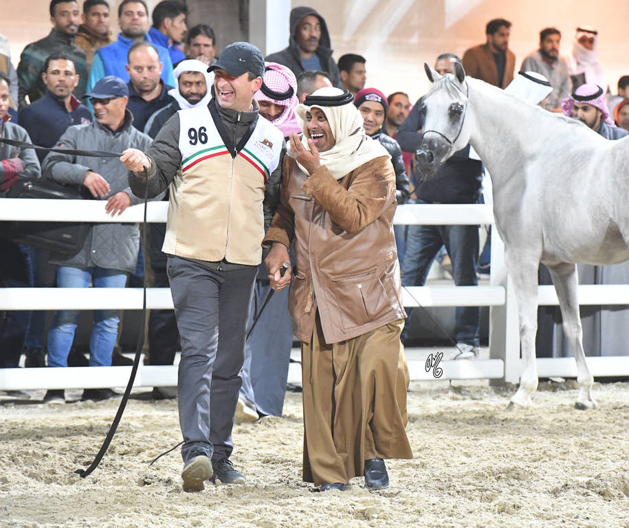 Senior Mare Bronze  Champion: Tibrah Al Shaqab (Farhoud Al Shaqab X Twom Hiddiyya)  