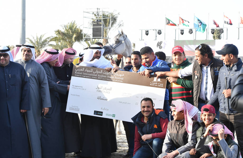 Junior Male Gold Champion: D Monaf (Royal Colours X D A Aniqah)   