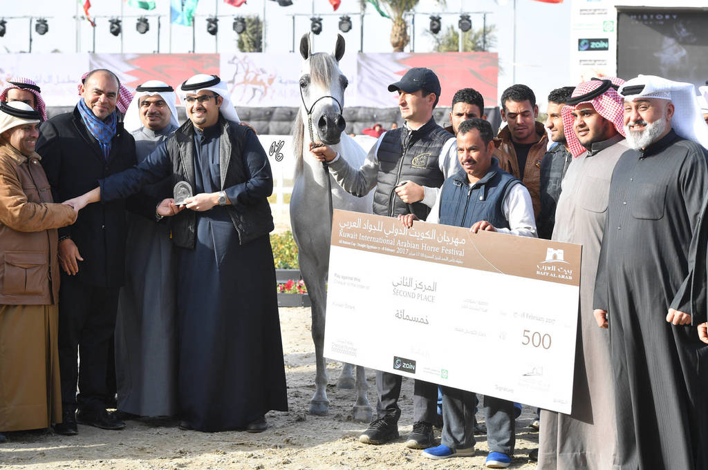 Junior Mare Gold Champion: Hikayet Hob AA (Al Ayal AA X Hamdiyah AA)