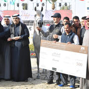 Junior Mare Gold Champion: Hikayet Hob AA (Al Ayal AA X Hamdiyah AA)
