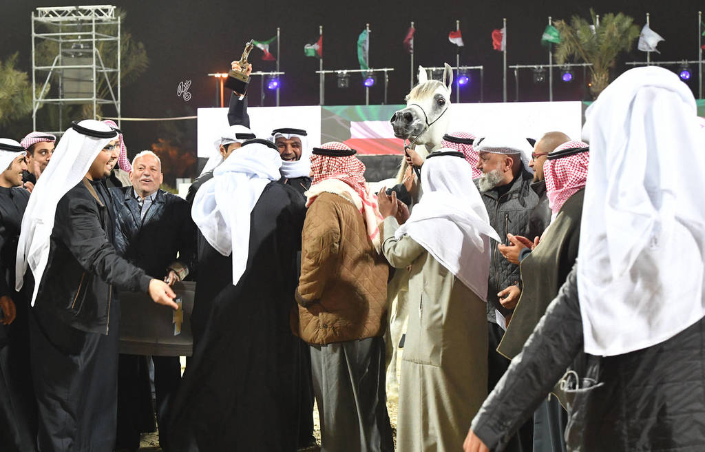 Junior Mare Gold Champion: Hikayet Hob AA (Al Ayal AA X Hamdiyah AA)