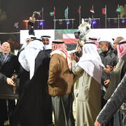 Junior Mare Gold Champion: Hikayet Hob AA (Al Ayal AA X Hamdiyah AA)