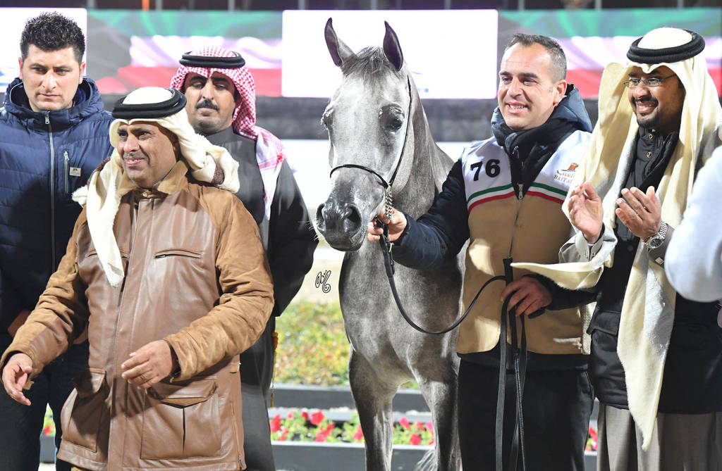  Junior Female Silver Champion: Mashhoora Al Shaqab (Ansata Nile Echo X Lian Al Shaqab)   
