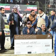 Yearling Colt Silver Champion: Muhallab Al Shajar (Taleb Al Shaqab X Alya Al Shajer) 