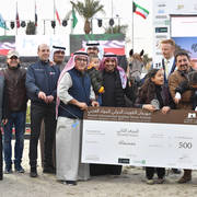 Yearling Filly Silver Champion: Rayah Aldanat (Al Adeed Al Shaqab X Ajmal Sharifa)