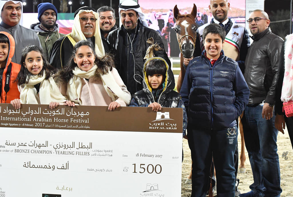 Yearling Filly Bronze Champion: Marbia AlSalam (Al Sheikh Obaied Al M X Lamiaa Adel)