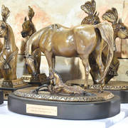 Lisa Abraham: 2017 Kuwait International Arabian Horse Festival~All Nations Cup Straight Egyptians 