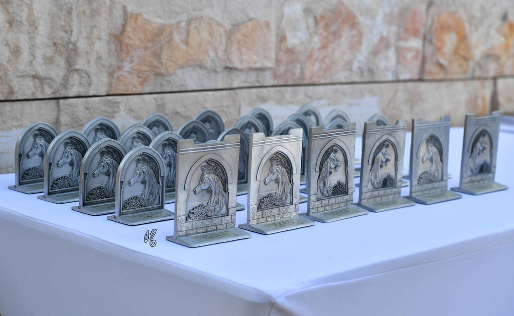 Lisa Abraham: 2017 Kuwait International Arabian Horse Festival~All Nations Cup Straight Egyptians 