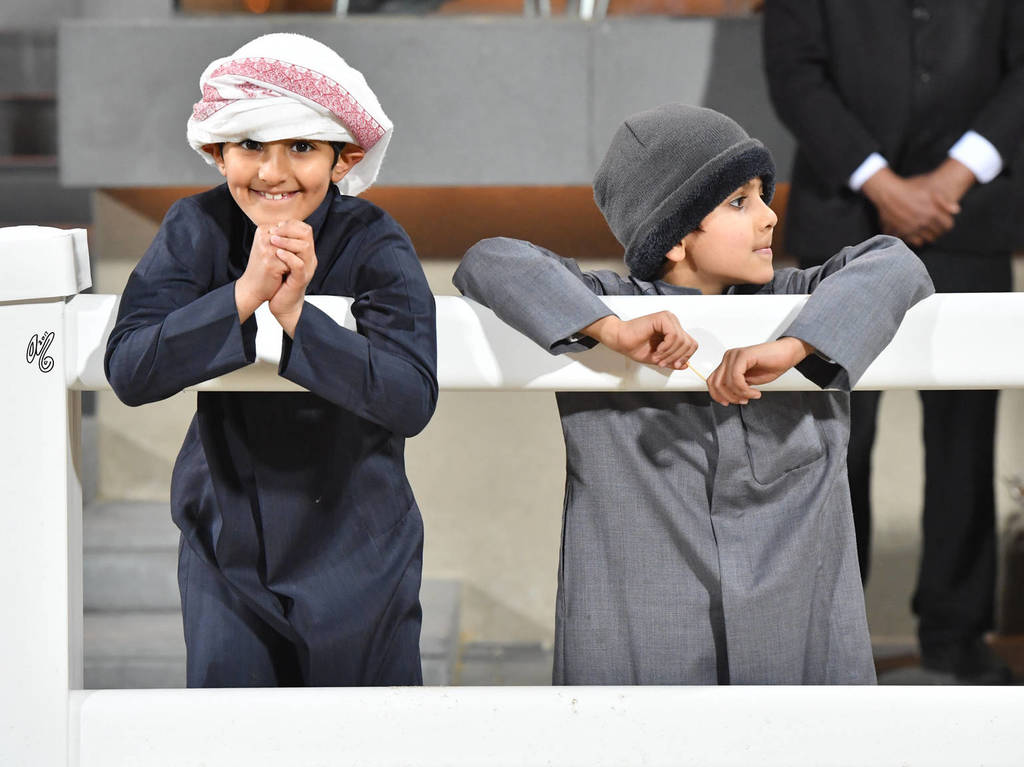 Lisa Abraham: 2017 Kuwait International Arabian Horse Festival~All Nations Cup Straight Egyptians 