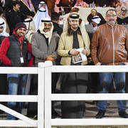 Lisa Abraham: 2017 Kuwait International Arabian Horse Festival~All Nations Cup Straight Egyptians 