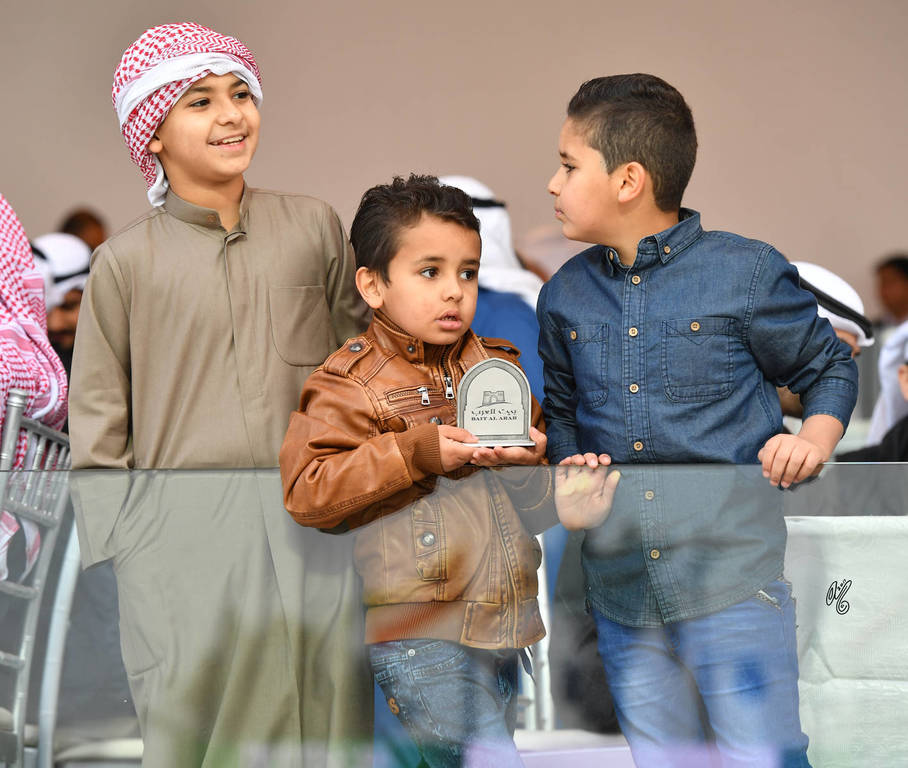 Lisa Abraham: 2017 Kuwait International Arabian Horse Festival~All Nations Cup Straight Egyptians 