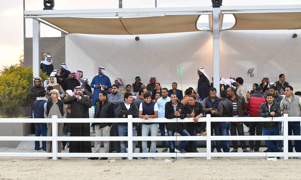 Lisa Abraham: 2017 Kuwait International Arabian Horse Festival~All Nations Cup Straight Egyptians 