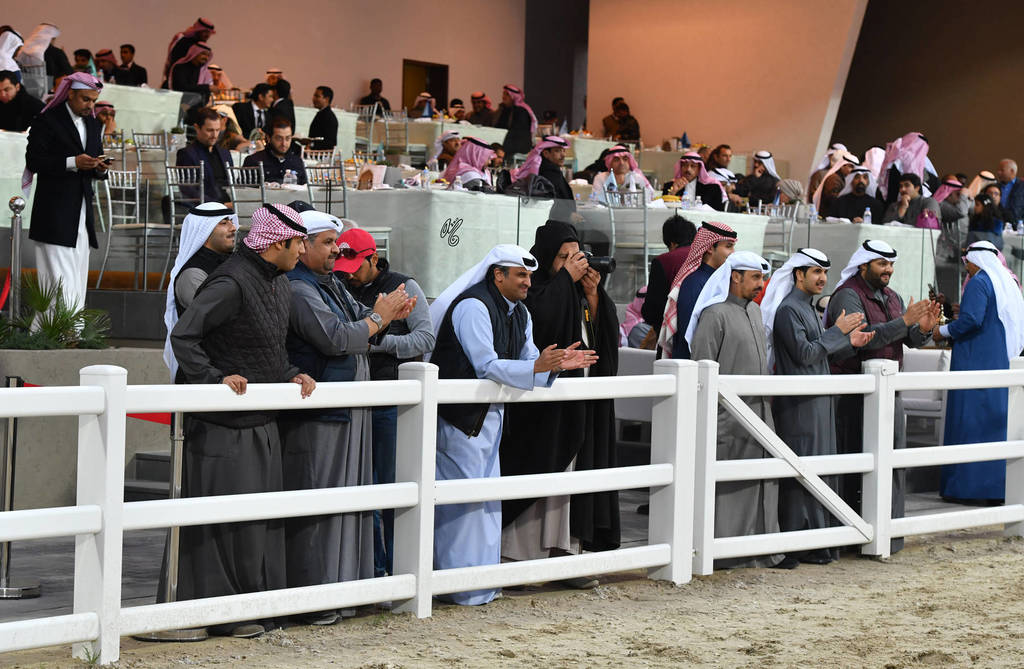 Lisa Abraham: 2017 Kuwait International Arabian Horse Festival~All Nations Cup Straight Egyptians 