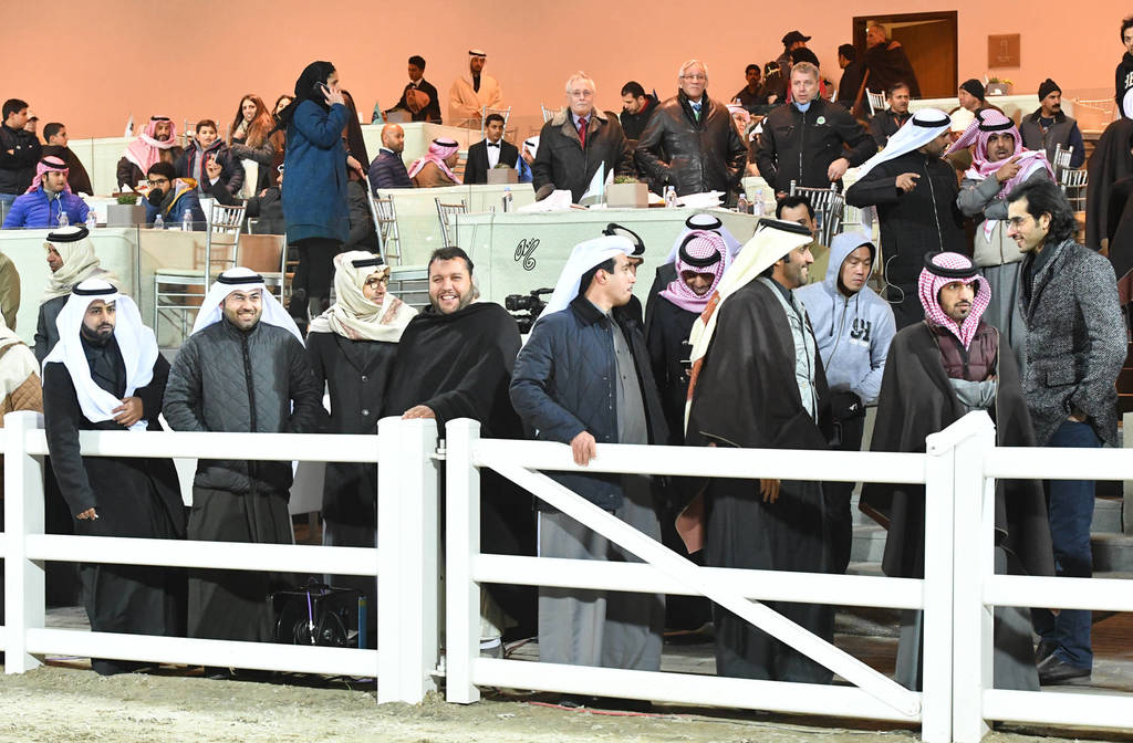 Lisa Abraham: 2017 Kuwait International Arabian Horse Festival~All Nations Cup Straight Egyptians 