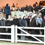 Lisa Abraham: 2017 Kuwait International Arabian Horse Festival~All Nations Cup Straight Egyptians 