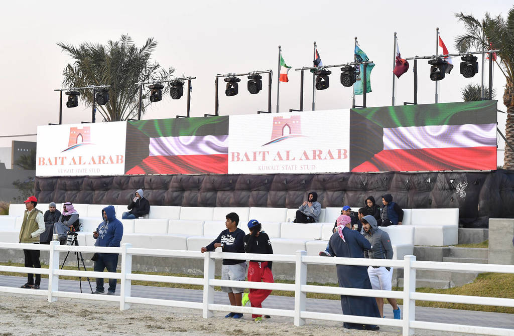 Lisa Abraham: 2017 Kuwait International Arabian Horse Festival~All Nations Cup Straight Egyptians 