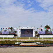 Lisa Abraham: 2017 Kuwait International Arabian Horse Festival~All Nations Cup Straight Egyptians 