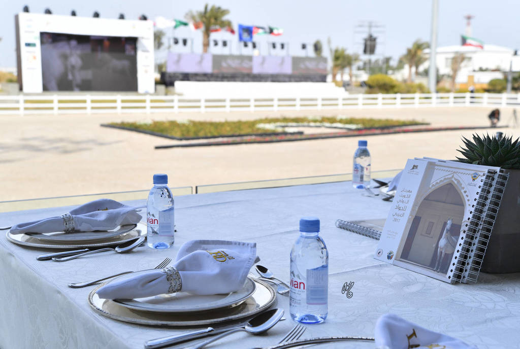 Lisa Abraham: 2017 Kuwait International Arabian Horse Festival~All Nations Cup Straight Egyptians 