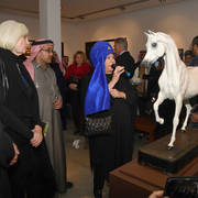 Lisa Abraham: 2017 Kuwait International Arabian Horse Festival~All Nations Cup Straight Egyptians 