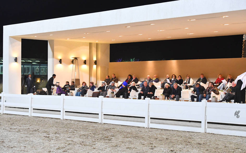 Lisa Abraham: 2017 Kuwait International Arabian Horse Festival~All Nations Cup Straight Egyptians 