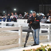 Lisa Abraham: 2017 Kuwait International Arabian Horse Festival~All Nations Cup Straight Egyptians 